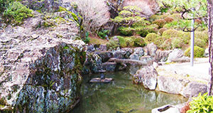 蓮光寺正面の池と大岩